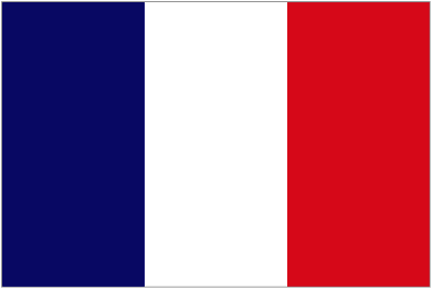  flag