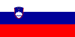Slovenia flag